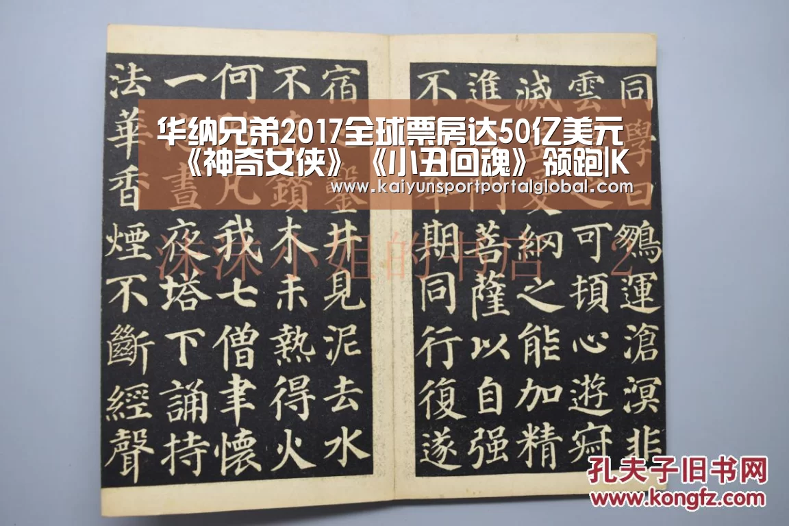 华纳兄弟2017全球票房达50亿美元 《神奇女侠》《小丑回魂》领跑|KAIYUN官网(图2) KAIYUN官网