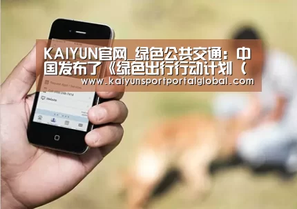 KAIYUN官网_绿色公共交通:中国发布了《绿色出行行动计划(2019-2022)》(图3) 开云入口