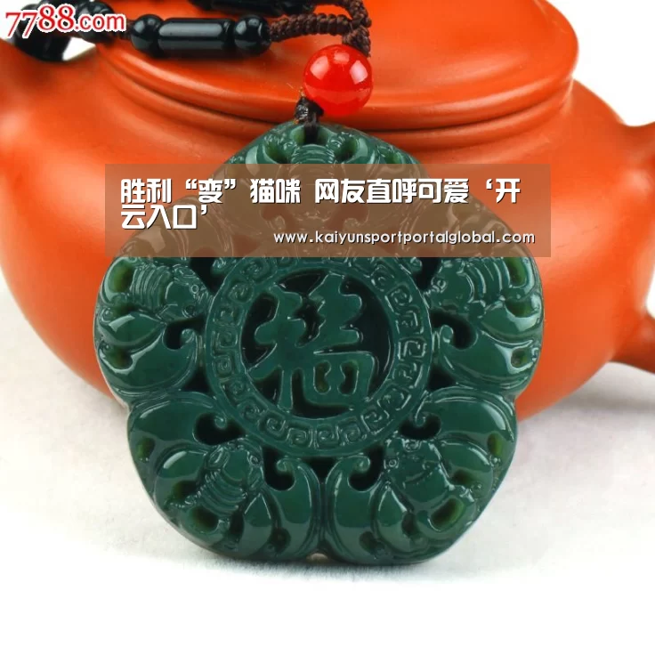 胜利“变”猫咪 网友直呼可爱‘开云入口’(图2) KAIYUN官网
