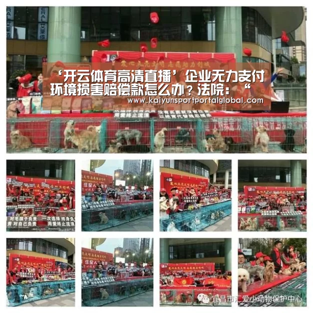 ‘开云体育高清直播’企业无力支付环境损害赔偿款怎么办?法院:“放水养鱼”,分期赔付(图2) KAIYUN官网