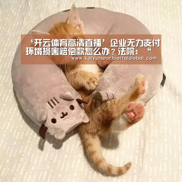 ‘开云体育高清直播’企业无力支付环境损害赔偿款怎么办?法院:“放水养鱼”,分期赔付(图1) 开云入口