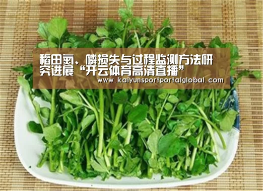 稻田氮、磷损失与过程监测方法研究进展“开云体育高清直播”(图1) 开云体育高清直播