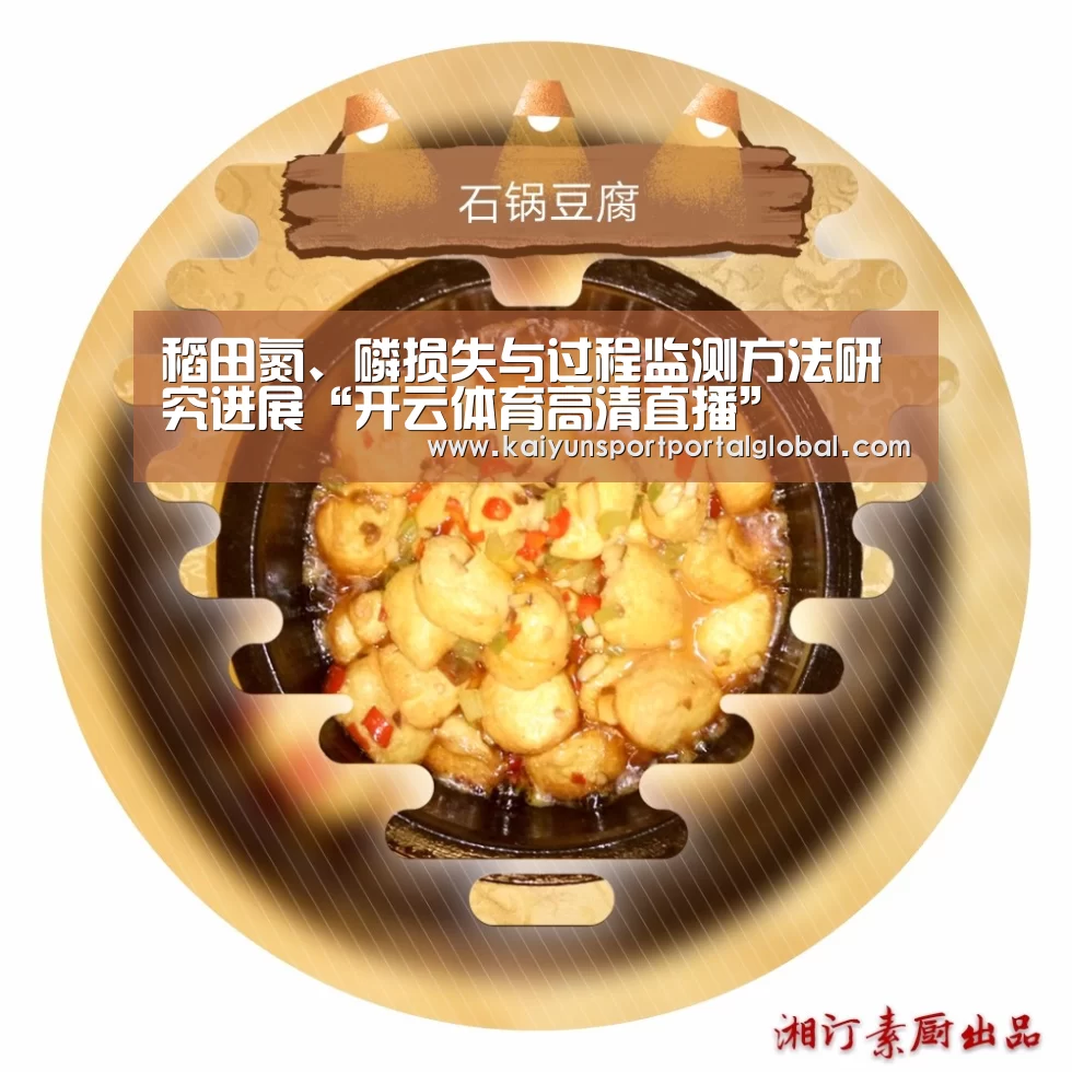 稻田氮、磷损失与过程监测方法研究进展“开云体育高清直播”(图2) 开云体育高清直播