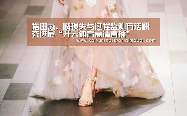 稻田氮、磷损失与过程监测方法研究进展“开云体育高清直播”(图3) 开云入口