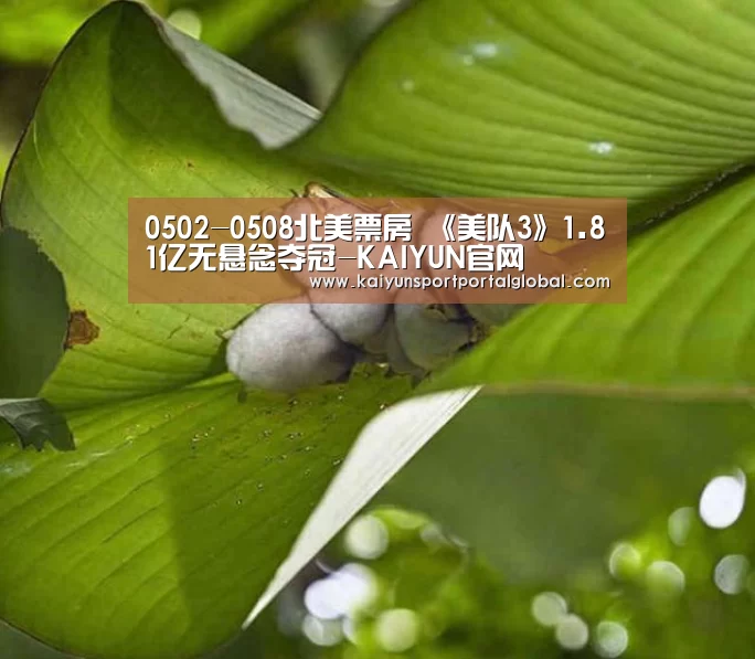 0502-0508北美票房 《美队3》1.81亿无悬念夺冠-KAIYUN官网(图1) 开云入口