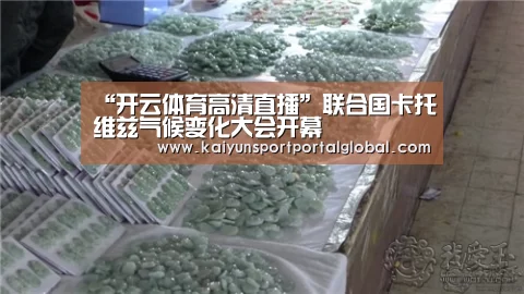 “开云体育高清直播”联合国卡托维兹气候变化大会开幕(图2) KAIYUN官网