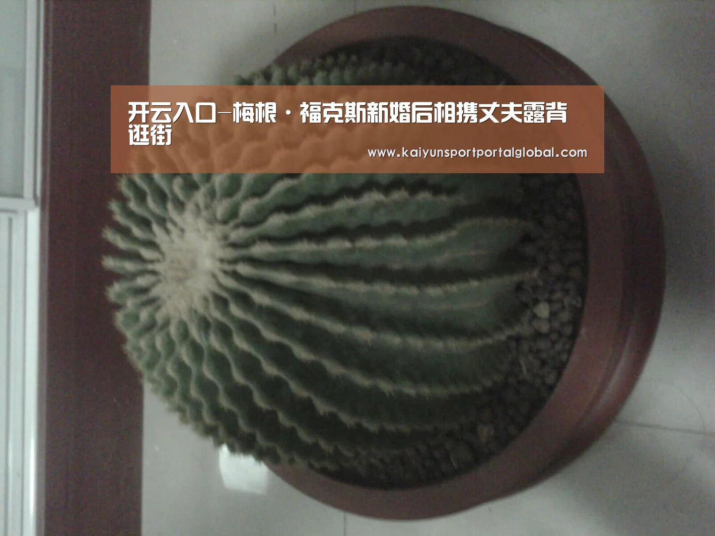 开云入口-梅根·福克斯新婚后相携丈夫露背逛街(图1) 开云入口