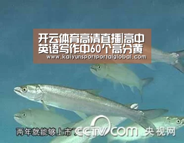 开云体育高清直播|高中英语写作中60个高分黄金句型,收!(上)(图1) 开云体育
