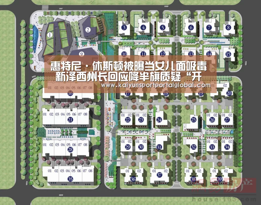 惠特尼·休斯顿被曝当女儿面吸毒 新泽西州长回应降半旗质疑“开云体育”(图1) 开云体育高清直播