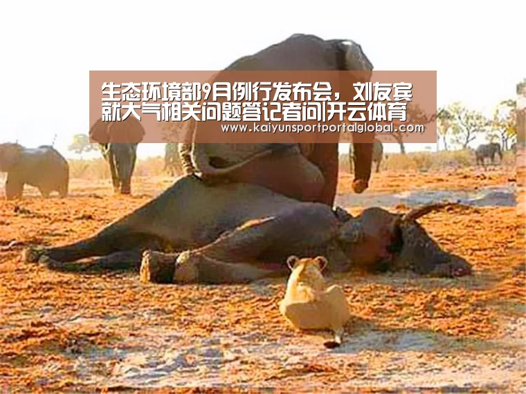 KAIYUN官网