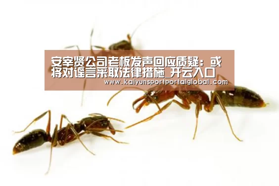 安宰贤公司老板发声回应质疑:或将对谣言采取法律措施_开云入口(图1) KAIYUN官网
