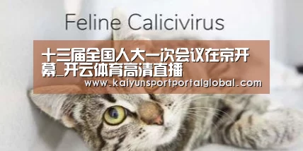 十三届全国人大一次会议在京开幕_开云体育高清直播(图1) 开云体育