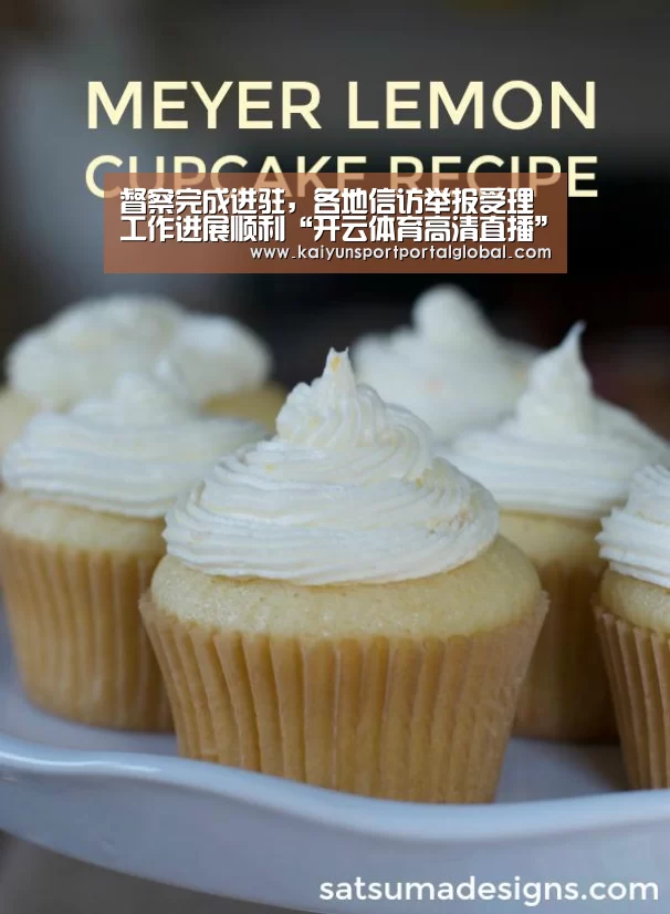 督察完成进驻,各地信访举报受理工作进展顺利“开云体育高清直播”(图2) KAIYUN官网