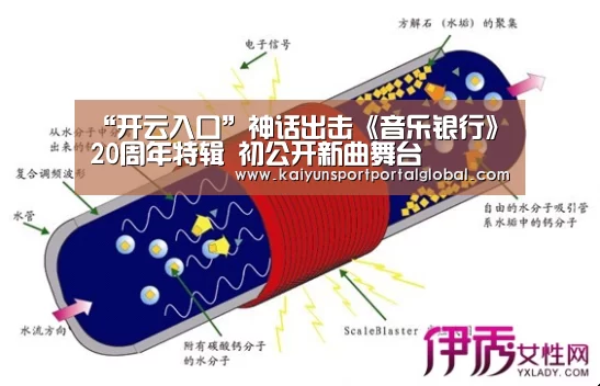 “开云入口”神话出击《音乐银行》20周年特辑 初公开新曲舞台(图1) 开云入口