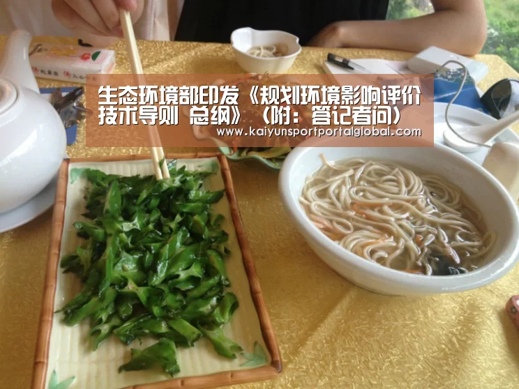 生态环境部印发《规划环境影响评价技术导则 总纲》(附:答记者问)_开云体育(图1) 开云体育