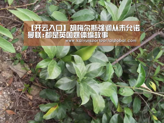【开云入口】胡梅尔斯强调从未允诺曼联:都是英国媒体编故事(图3) 开云入口