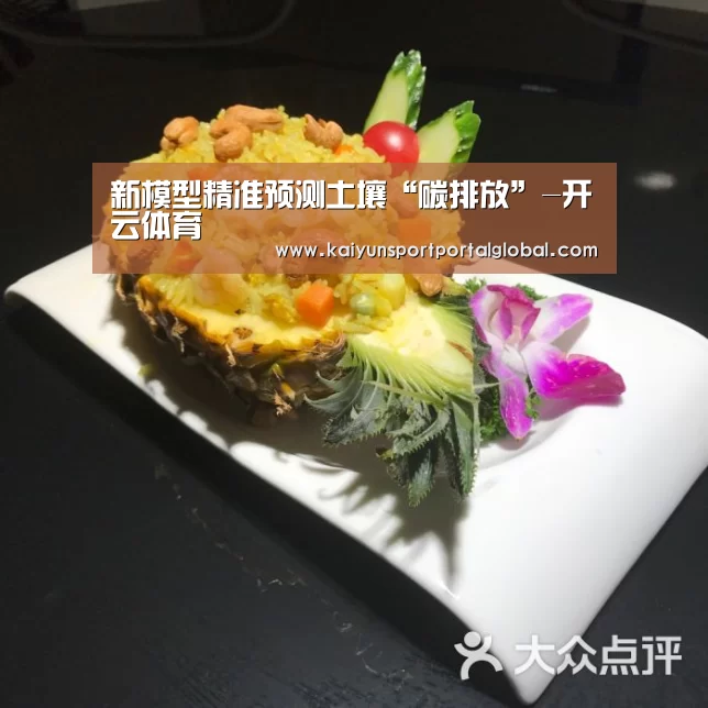 新模型精准预测土壤“碳排放”-开云体育(图4) 开云体育