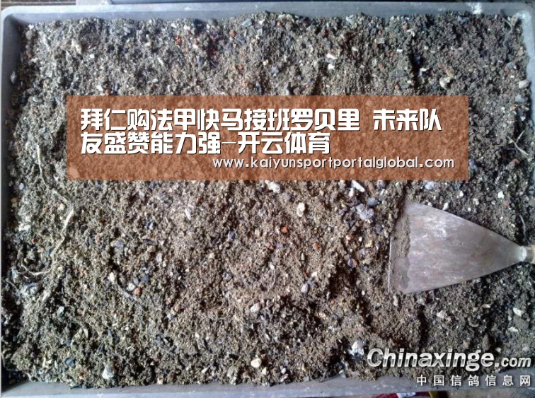 拜仁购法甲快马接班罗贝里 未来队友盛赞能力强-开云体育(图1) KAIYUN官网